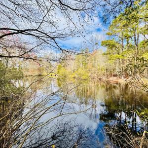 Photo #3 of Lot 24 PEACEFUL LAKES DR, FRANKTOWN, VA 1.6 acres