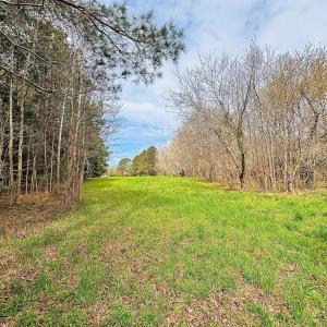 Photo #5 of Lot 24 PEACEFUL LAKES DR, FRANKTOWN, VA 1.6 acres