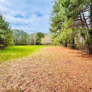 Photo #6 of Lot 24 PEACEFUL LAKES DR, FRANKTOWN, VA 1.6 acres