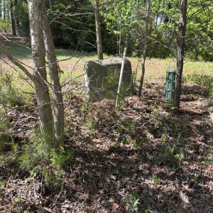 Photo #15 of 21302 WISE POINT LN, ONANCOCK, VA 22.4 acres