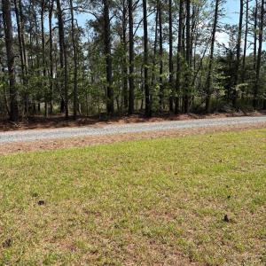 Photo #21 of 21302 WISE POINT LN, ONANCOCK, VA 22.4 acres