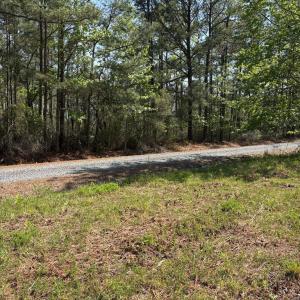 Photo #22 of 21302 WISE POINT LN, ONANCOCK, VA 22.4 acres