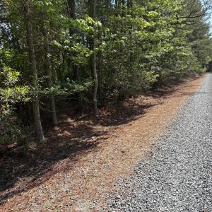 Photo #26 of 21302 WISE POINT LN, ONANCOCK, VA 22.4 acres