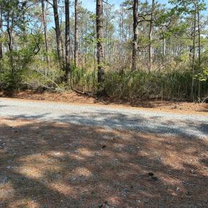 Photo #27 of 21302 WISE POINT LN, ONANCOCK, VA 22.4 acres