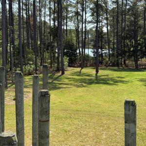 Photo #36 of 21302 WISE POINT LN, ONANCOCK, VA 22.4 acres