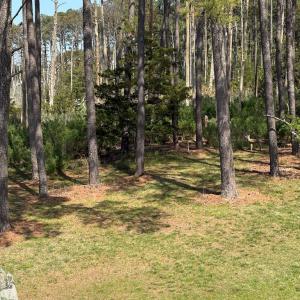 Photo #40 of 21302 WISE POINT LN, ONANCOCK, VA 22.4 acres