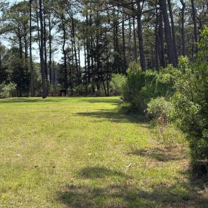 Photo #45 of 21302 WISE POINT LN, ONANCOCK, VA 22.4 acres