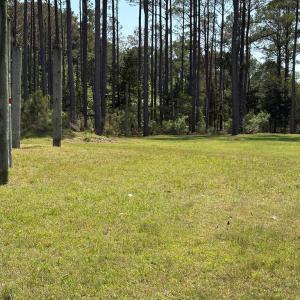 Photo #47 of 21302 WISE POINT LN, ONANCOCK, VA 22.4 acres