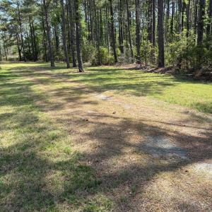 Photo #49 of 21302 WISE POINT LN, ONANCOCK, VA 22.4 acres