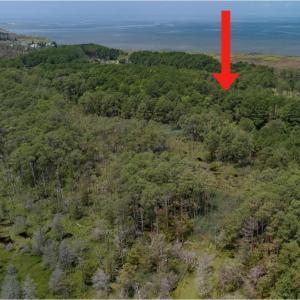 Photo #5 of 21302 WISE POINT LN, ONANCOCK, VA 22.4 acres