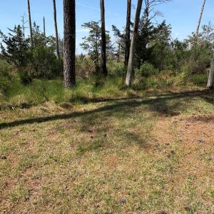 Photo #50 of 21302 WISE POINT LN, ONANCOCK, VA 22.4 acres