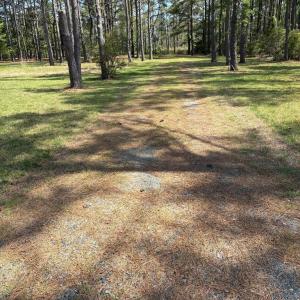 Photo #52 of 21302 WISE POINT LN, ONANCOCK, VA 22.4 acres