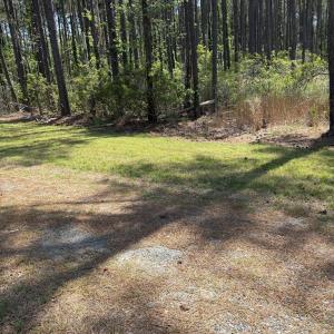 Photo #54 of 21302 WISE POINT LN, ONANCOCK, VA 22.4 acres