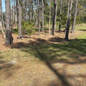 Photo #55 of 21302 WISE POINT LN, ONANCOCK, VA 22.4 acres