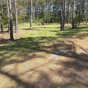 Photo #56 of 21302 WISE POINT LN, ONANCOCK, VA 22.4 acres