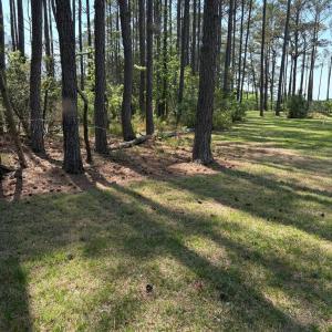 Photo #59 of 21302 WISE POINT LN, ONANCOCK, VA 22.4 acres