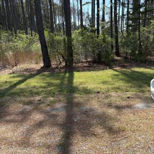Photo #60 of 21302 WISE POINT LN, ONANCOCK, VA 22.4 acres