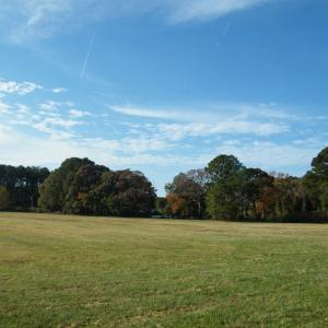 Photo #19 of lot 6 BARLOW CREEK LN., EASTVILLE, VA 6.9 acres
