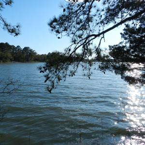 Photo #7 of lot 6 BARLOW CREEK LN., EASTVILLE, VA 6.9 acres