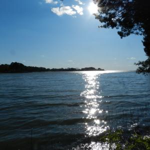 Photo #9 of lot 6 BARLOW CREEK LN., EASTVILLE, VA 6.9 acres
