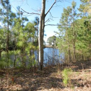 Photo #12 of lot 6 BARLOW CREEK LN., EASTVILLE, VA 6.9 acres