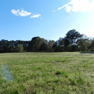 Photo #17 of lot 6 BARLOW CREEK LN., EASTVILLE, VA 6.9 acres