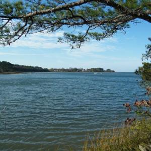 Photo #2 of lot 6 BARLOW CREEK LN., EASTVILLE, VA 6.9 acres