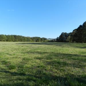 Photo #21 of lot 6 BARLOW CREEK LN., EASTVILLE, VA 6.9 acres
