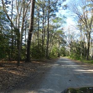 Photo #22 of lot 6 BARLOW CREEK LN., EASTVILLE, VA 6.9 acres