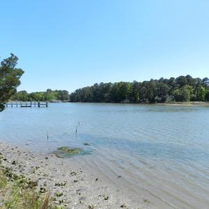 Photo #3 of lot 6 BARLOW CREEK LN., EASTVILLE, VA 6.9 acres