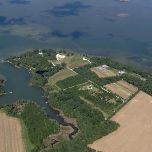 Photo #4 of lot 6 BARLOW CREEK LN., EASTVILLE, VA 6.9 acres