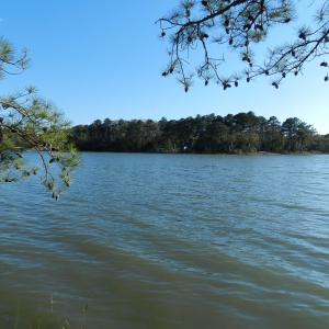 Photo #6 of lot 6 BARLOW CREEK LN., EASTVILLE, VA 6.9 acres