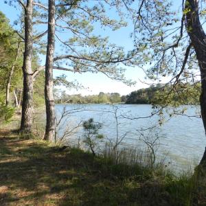 Photo #8 of lot 6 BARLOW CREEK LN., EASTVILLE, VA 6.9 acres