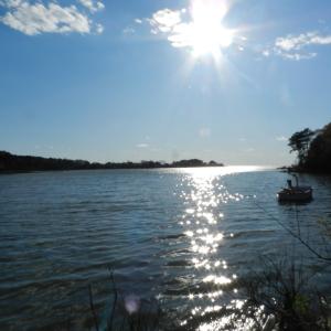 Photo #5 of lot 6 BARLOW CREEK LN., EASTVILLE, VA 6.9 acres