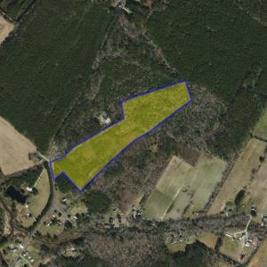 Photo #3 of WINTERVILLE RD, BLOXOM, VA 20.5 acres