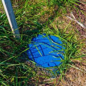 Photo #26 of 4227 DAVIS HWY, LOUISA, VA 0.5 acres