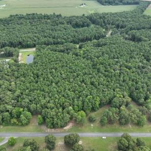 Photo #2 of Lot 37 CORBIN HALL LN, HORNTOWN, VA 3.0 acres