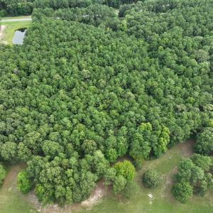 Photo #3 of Lot 37 CORBIN HALL LN, HORNTOWN, VA 3.0 acres