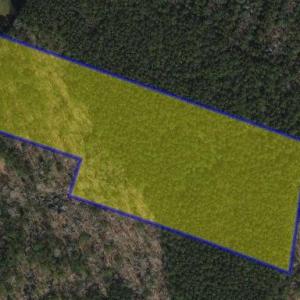 Photo #2 of Lot 31 MILES RD, NEW CHURCH, VA 14.8 acres