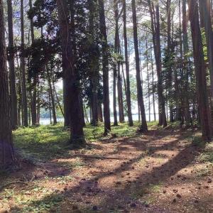 Photo #11 of A6B WHITE TAIL LANE, MACHIPONGO, VA 2.5 acres