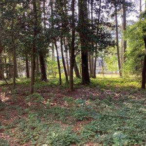 Photo #13 of A6B WHITE TAIL LANE, MACHIPONGO, VA 2.5 acres