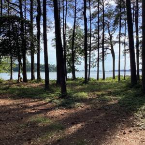Photo #15 of A6B WHITE TAIL LANE, MACHIPONGO, VA 2.5 acres