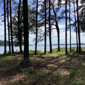 Photo #16 of A6B WHITE TAIL LANE, MACHIPONGO, VA 2.5 acres