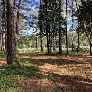 Photo #17 of A6B WHITE TAIL LANE, MACHIPONGO, VA 2.5 acres