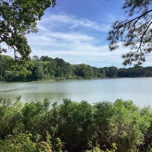 Photo #22 of A6B WHITE TAIL LANE, MACHIPONGO, VA 2.5 acres