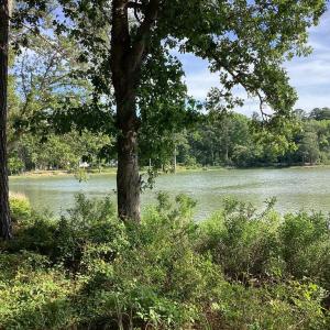 Photo #24 of A6B WHITE TAIL LANE, MACHIPONGO, VA 2.5 acres
