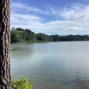 Photo #27 of A6B WHITE TAIL LANE, MACHIPONGO, VA 2.5 acres