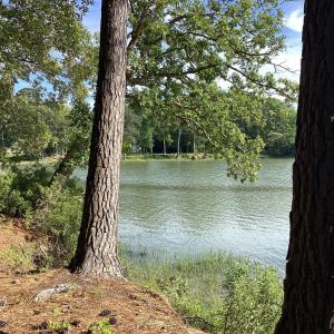 Photo #28 of A6B WHITE TAIL LANE, MACHIPONGO, VA 2.5 acres