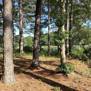 Photo #29 of A6B WHITE TAIL LANE, MACHIPONGO, VA 2.5 acres