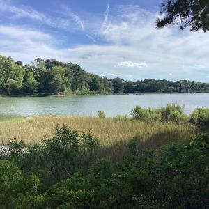 Photo #31 of A6B WHITE TAIL LANE, MACHIPONGO, VA 2.5 acres